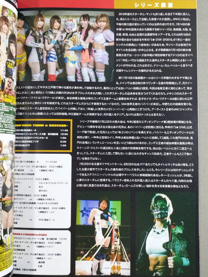 STARDOM OFFICIAL GUIDE BOOK Vol.110