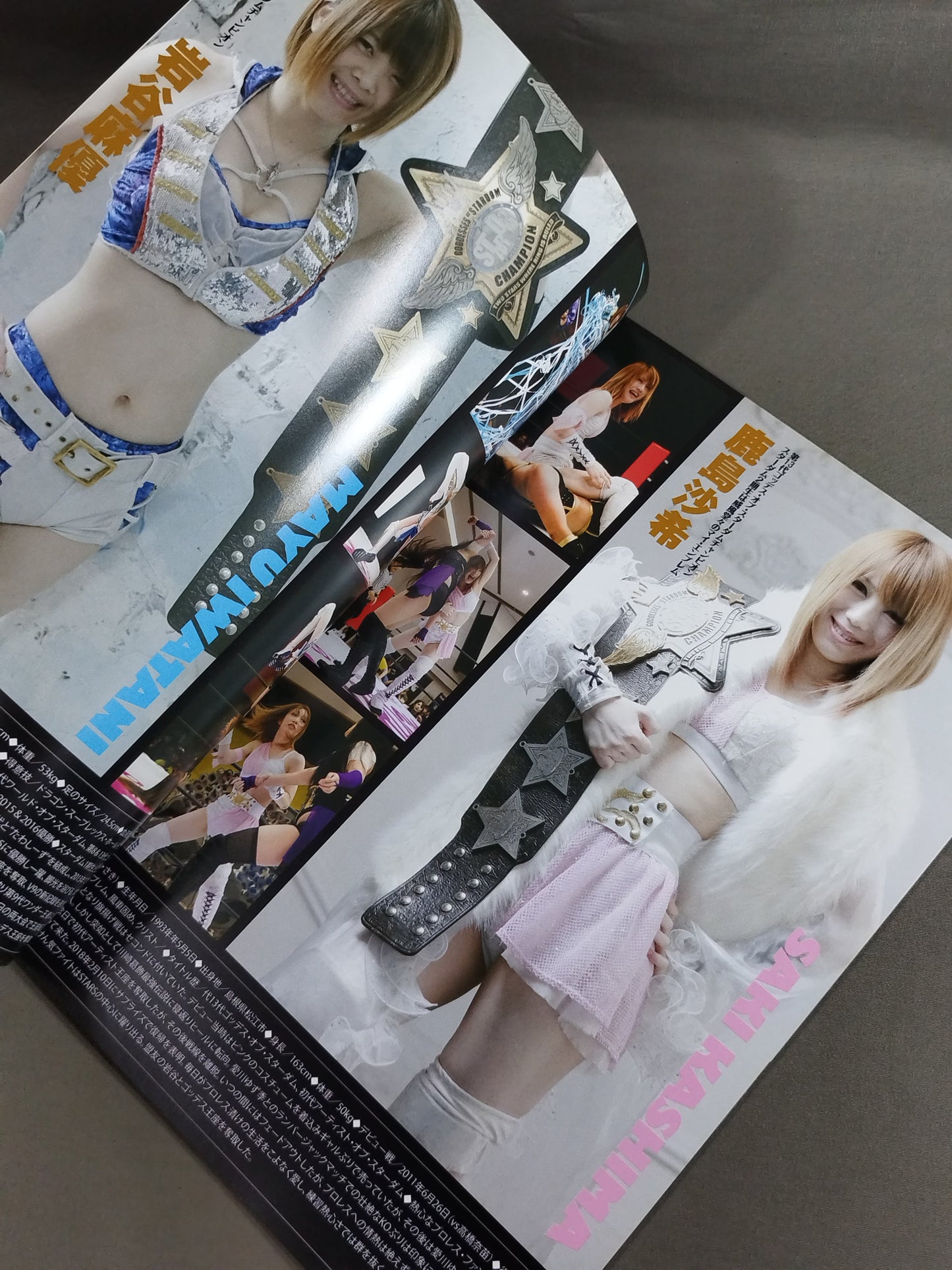 STARDOM OFFICIAL GUIDE BOOK Vol.110
