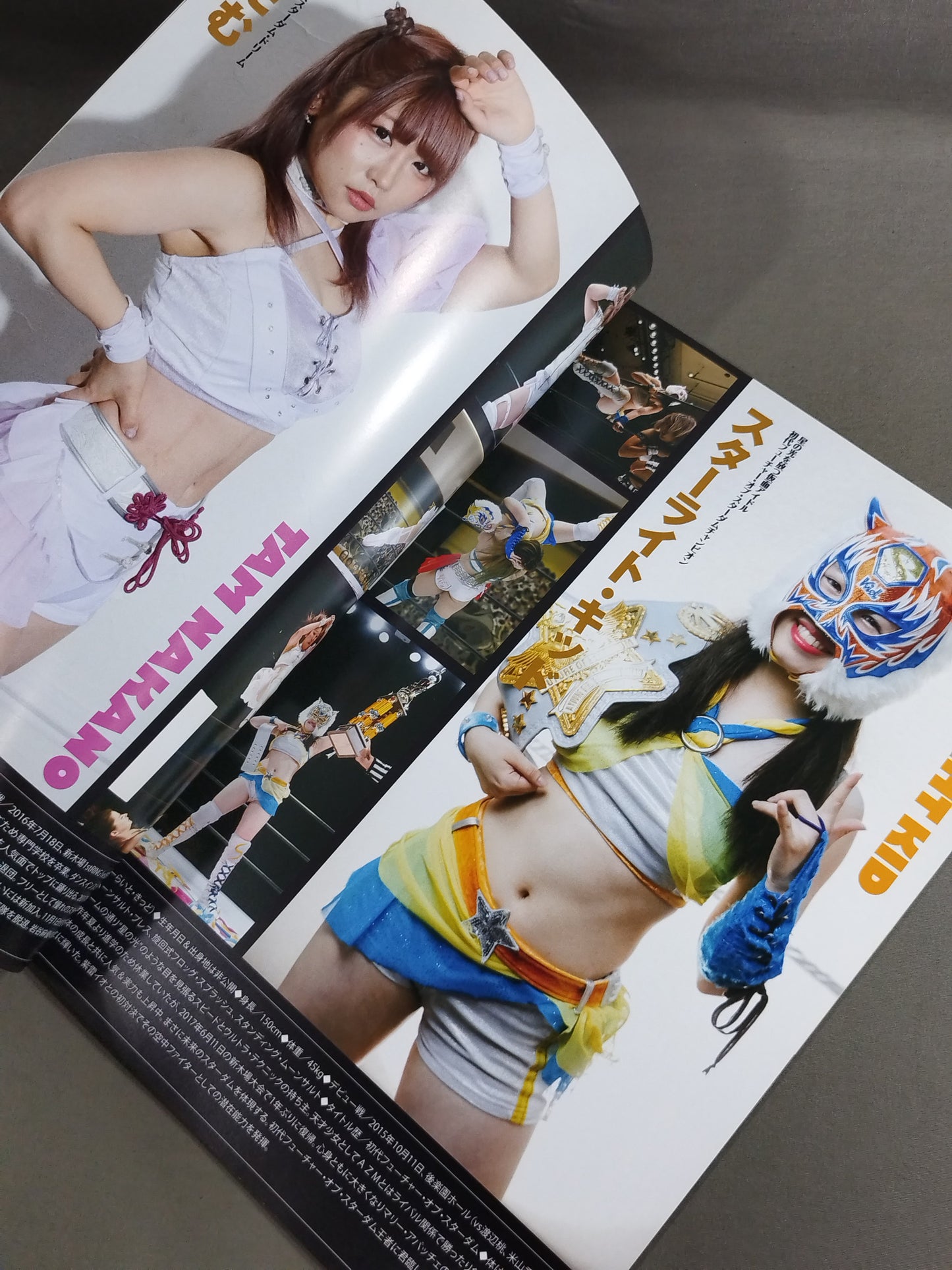 STARDOM OFFICIAL GUIDE BOOK Vol.110