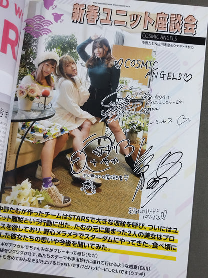 STARDOM OFFICIAL GUIDE BOOK Vol.134