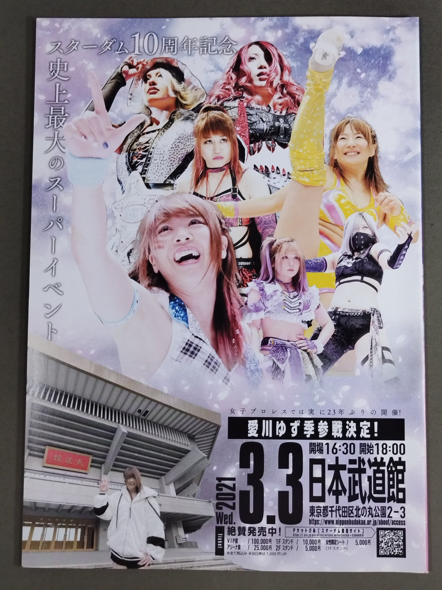 STARDOM OFFICIAL GUIDE BOOK Vol.134