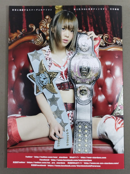 STARDOM OFFICIAL GUIDE BOOK Vol.118