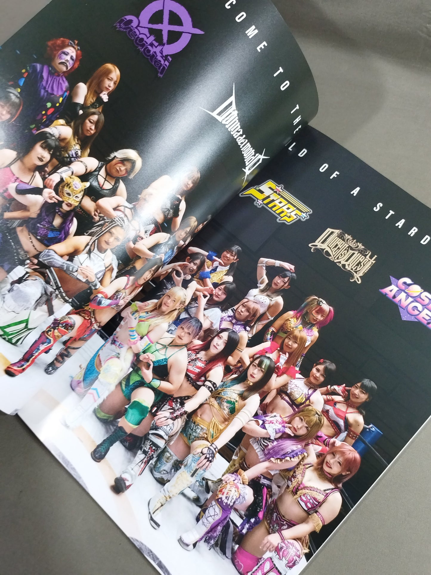STARDOM OFFICIAL GUIDE BOOK Vol.140