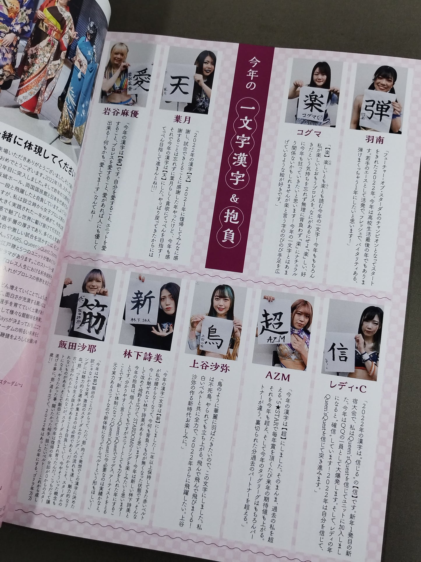 STARDOM OFFICIAL GUIDE BOOK Vol.140