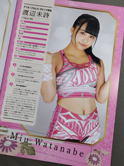 Tokyo Joshi Pro Wrestling Official Program TJPW Vol.10