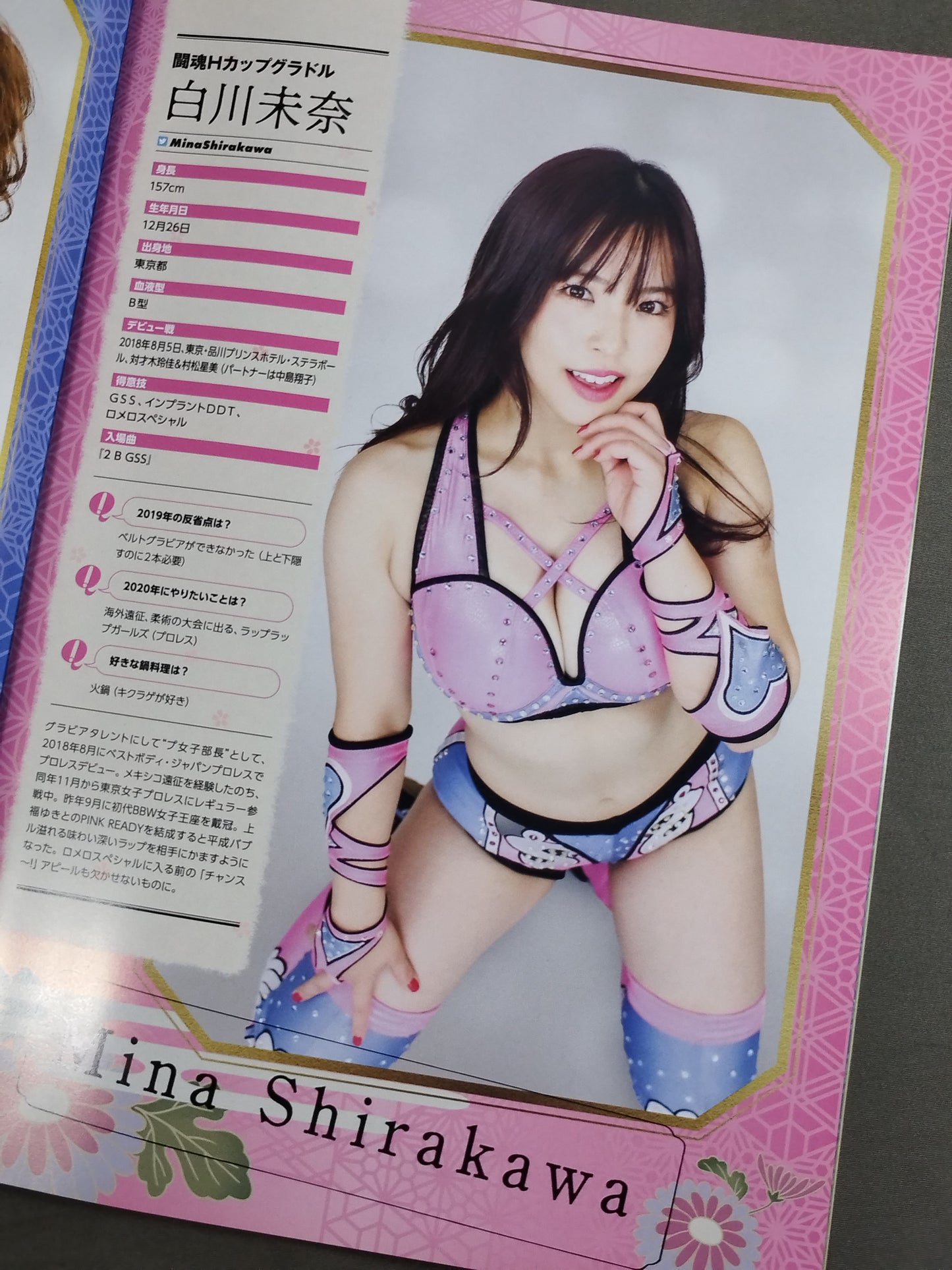 Tokyo Joshi Pro Wrestling Official Program TJPW Vol.10