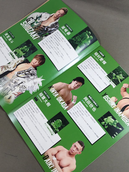 2021 OFFICIAL GUIDE BOOK vol.2