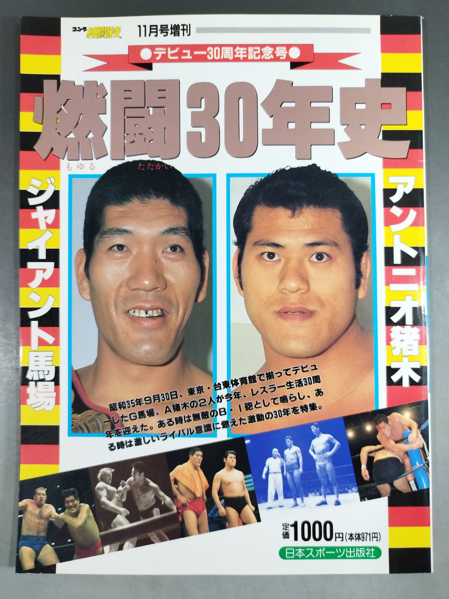 ゴング増刊号 燃闘30年史 ＜写真画報保存版＞