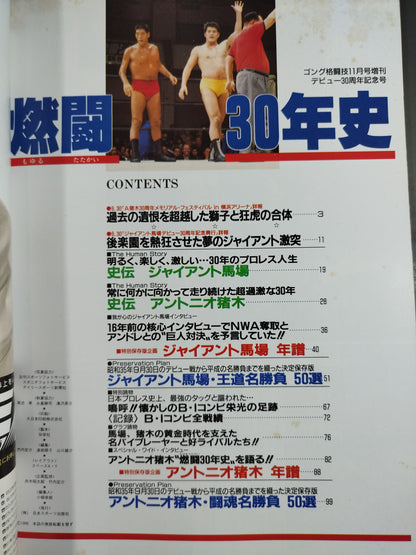 ゴング増刊号 燃闘30年史 ＜写真画報保存版＞