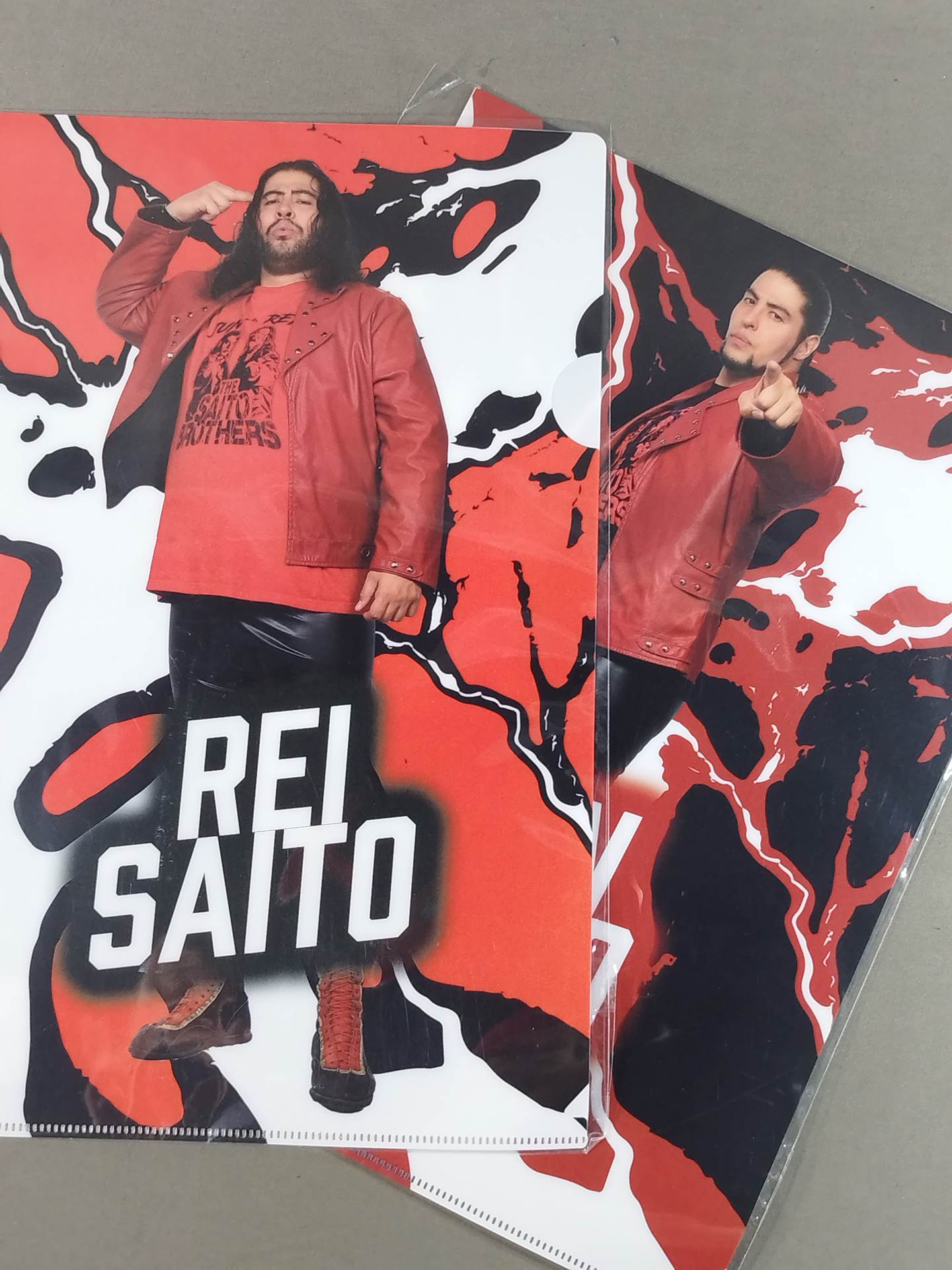 Saito Brothers plastic file folder  set