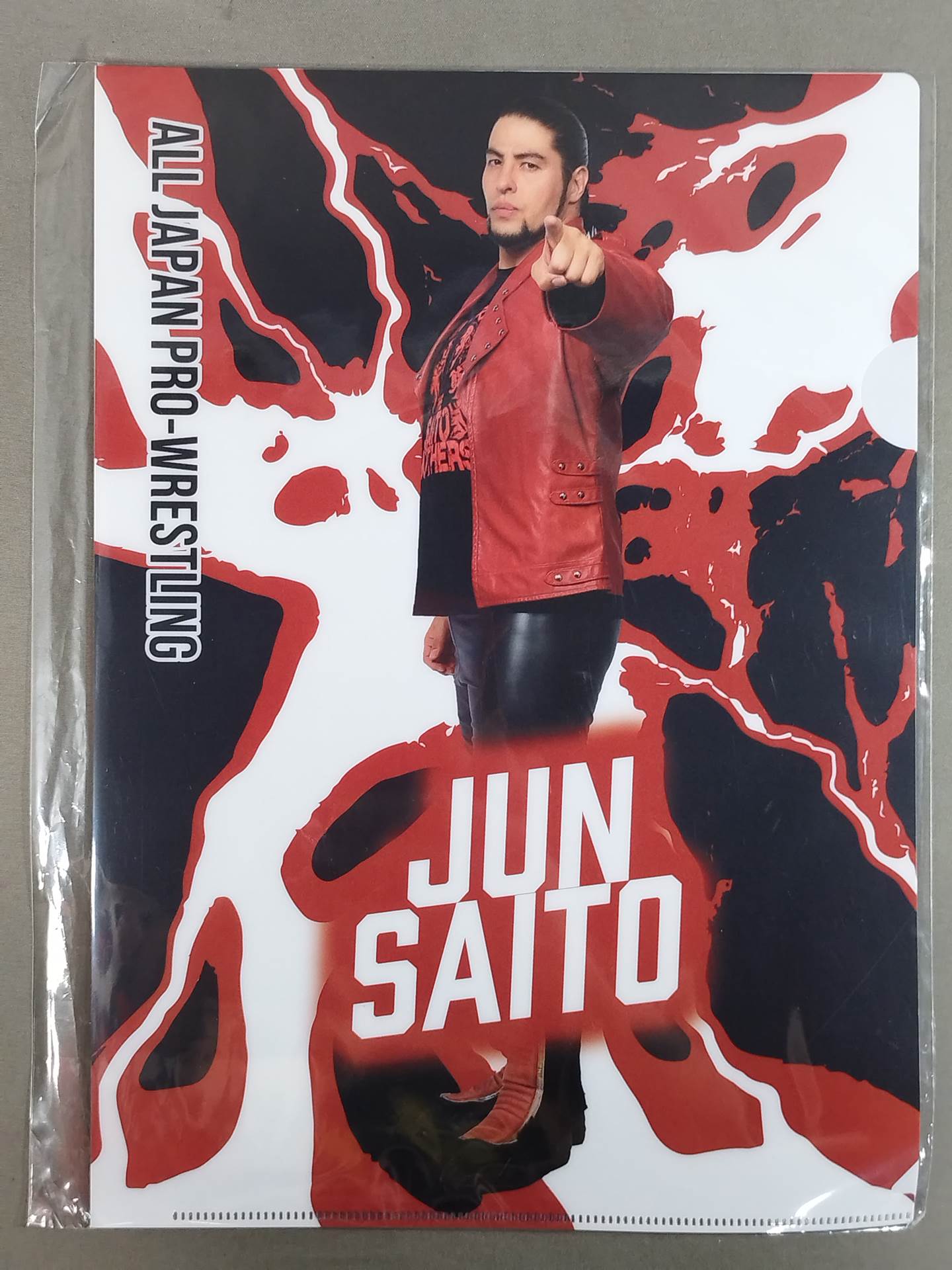 Saito Brothers plastic file folder  set