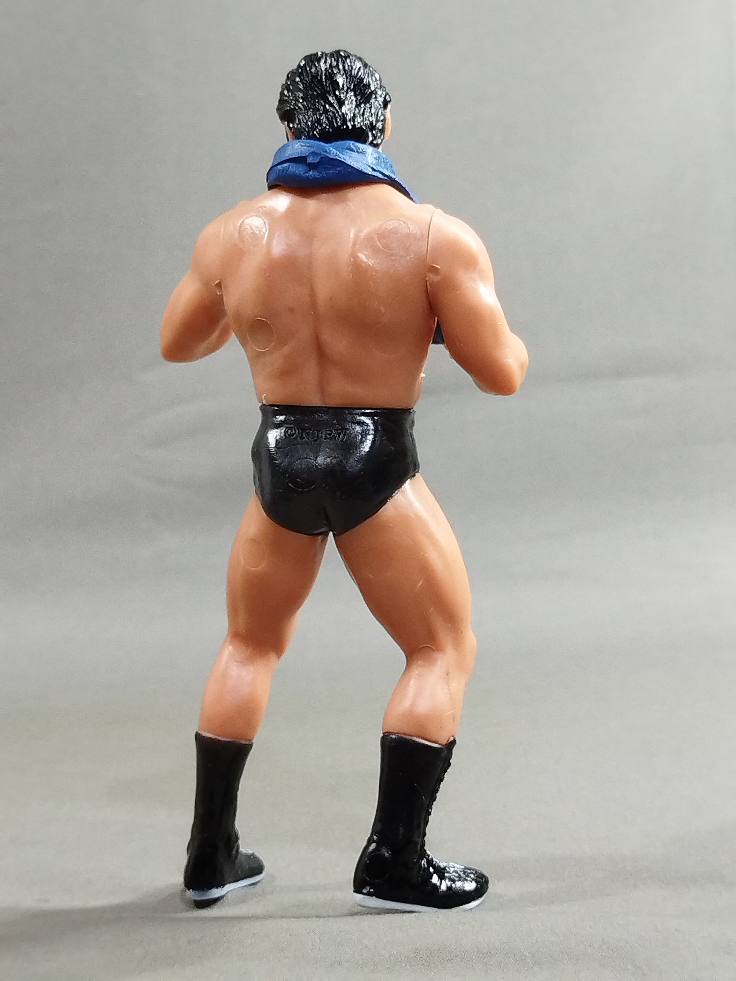 Antonio Inoki  (blue towel)