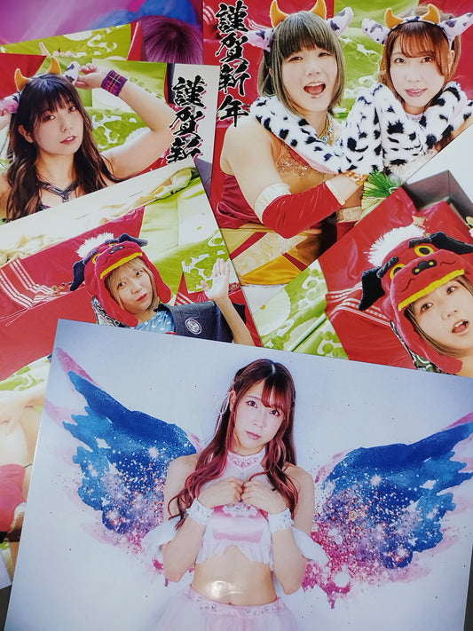 Tokyo Joshi Pro Wrestling  Pro-Photo  set