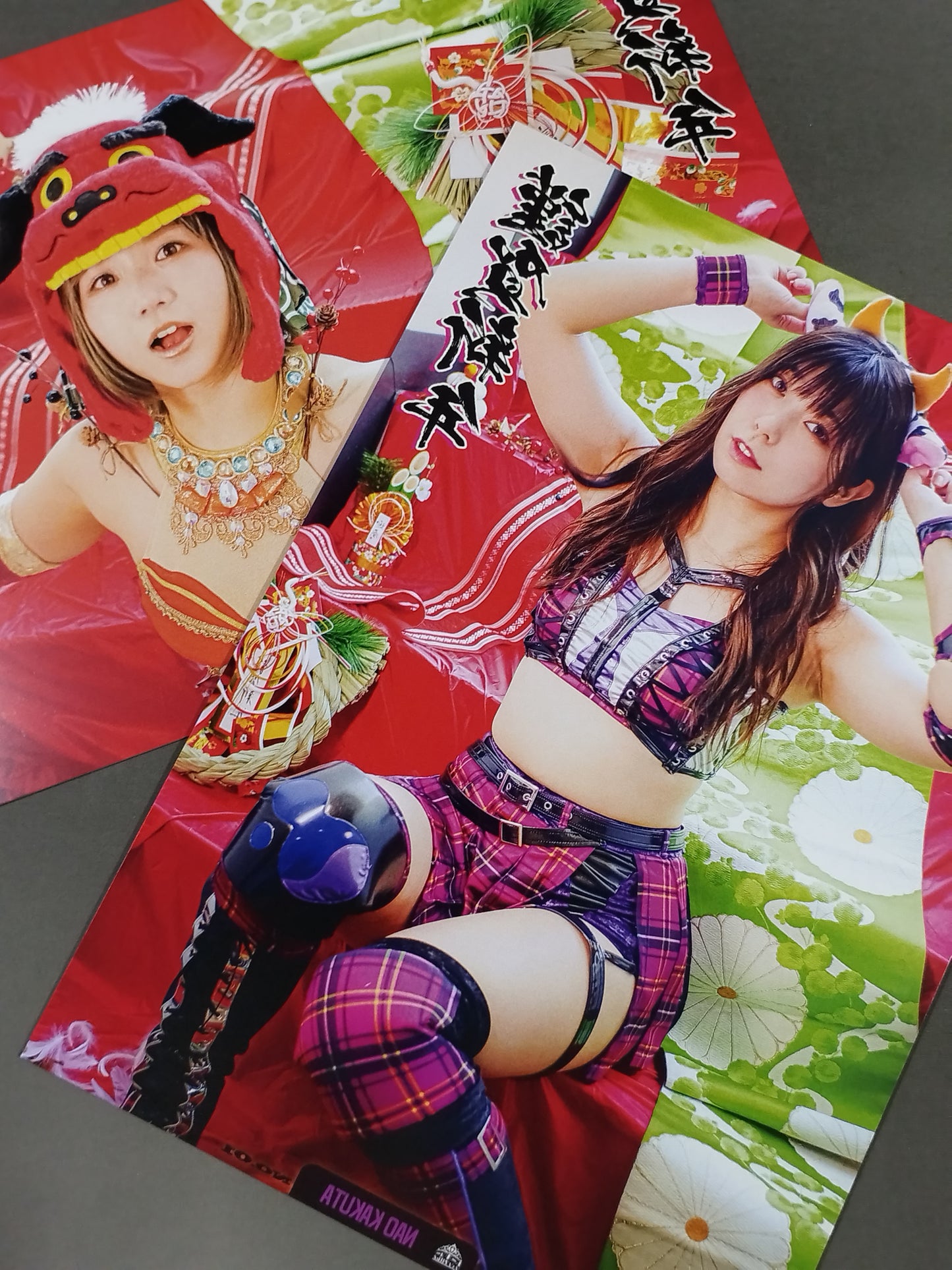 Tokyo Joshi Pro Wrestling  Pro-Photo  set