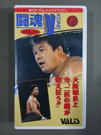 Fighting Spirit V Special Vol.17