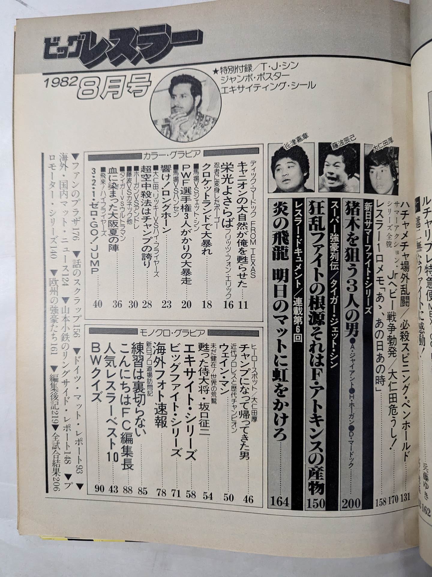 Monthly Big Wrestler August 1982 issue