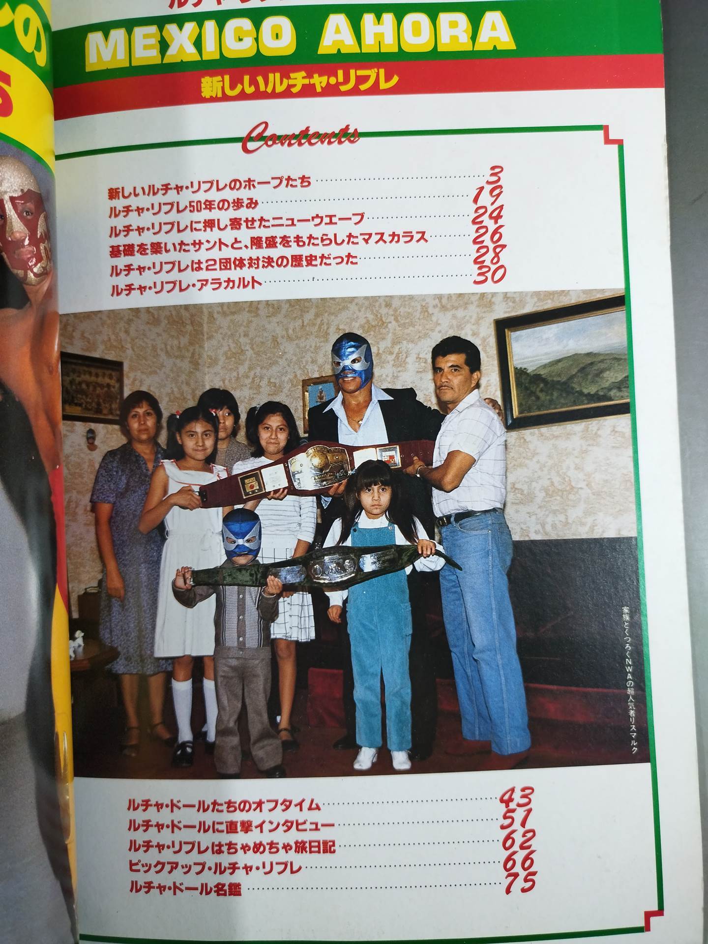 Weekly Pro Wrestling 6 [New Lucha Libre]