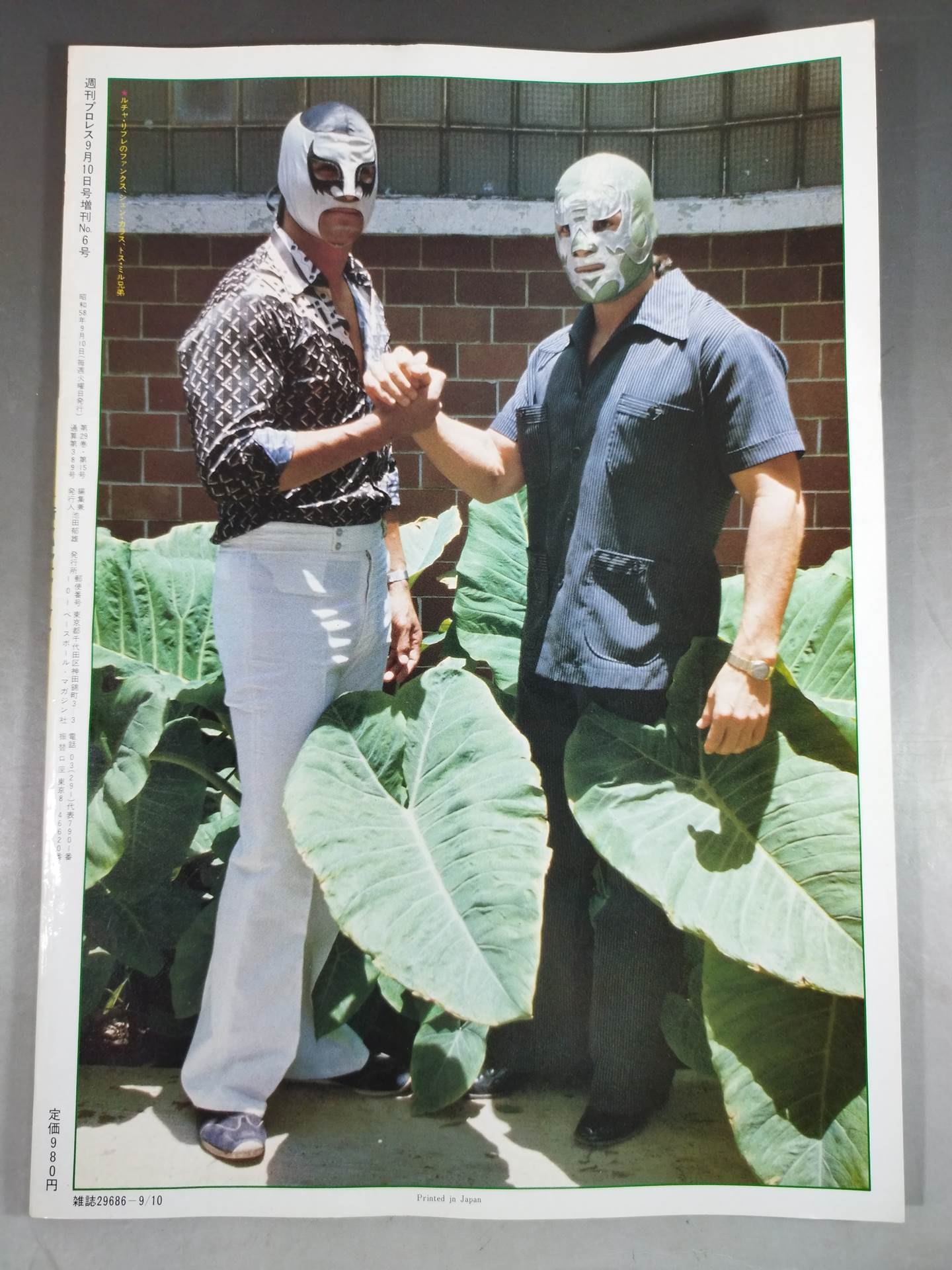 Weekly Pro Wrestling 6 [New Lucha Libre]