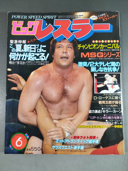Monthly Big Wrestler June 1982 issue