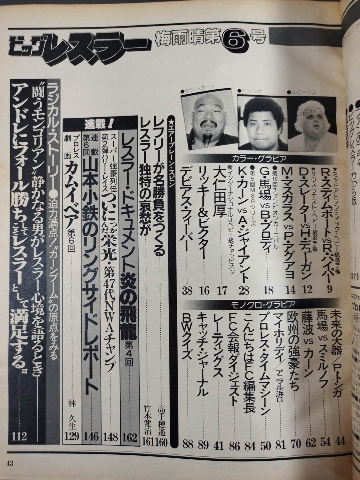 Monthly Big Wrestler June 1982 issue