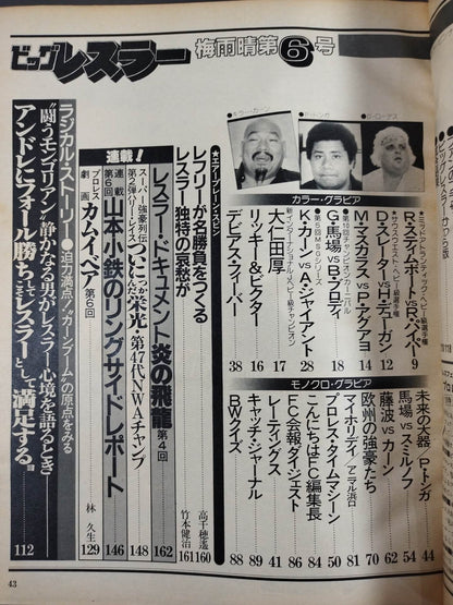 Monthly Big Wrestler June 1982 issue