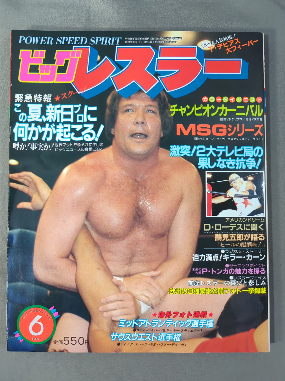 Monthly Big Wrestler June 1982 issue