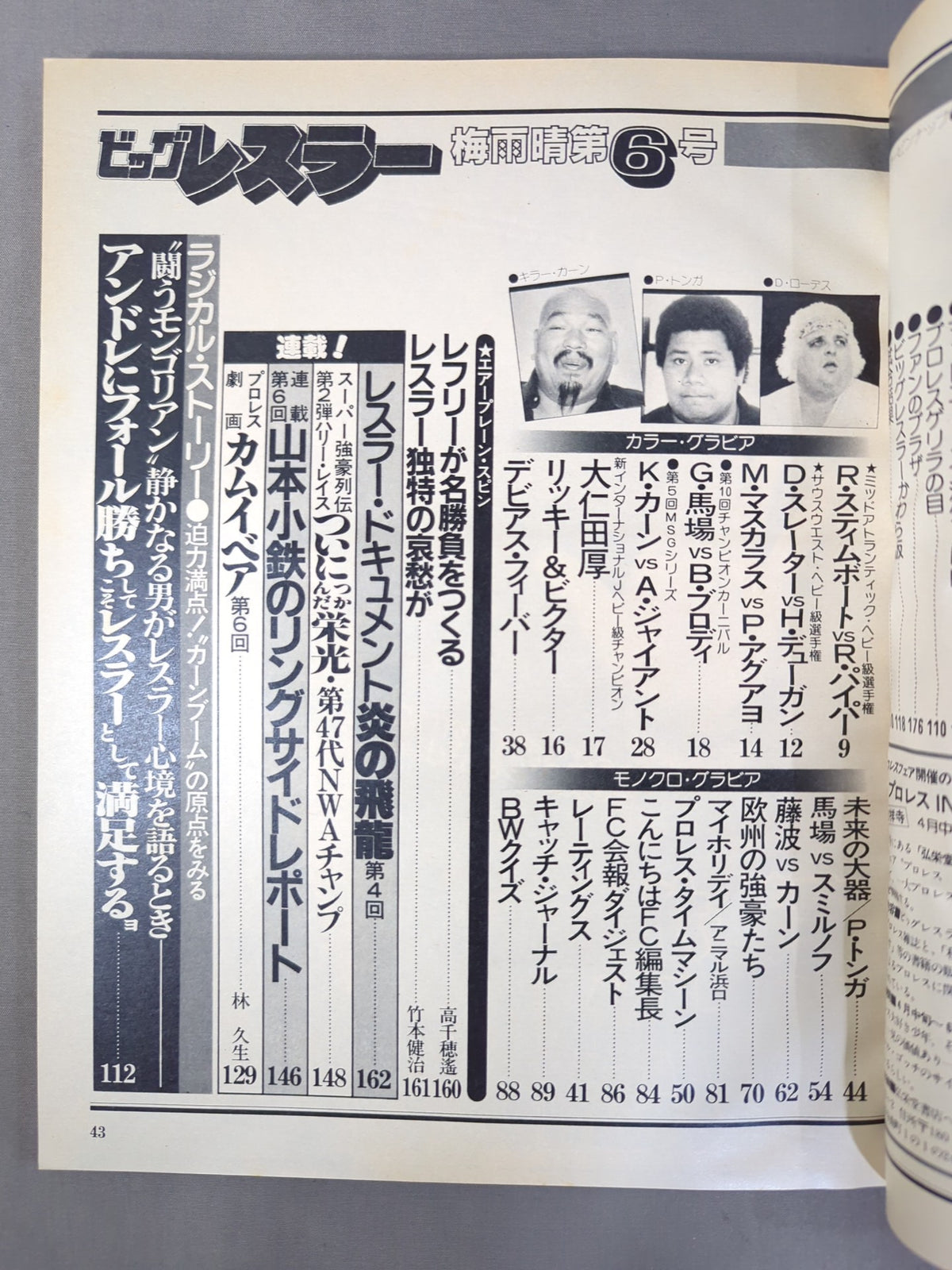 Monthly Big Wrestler June 1982 issue
