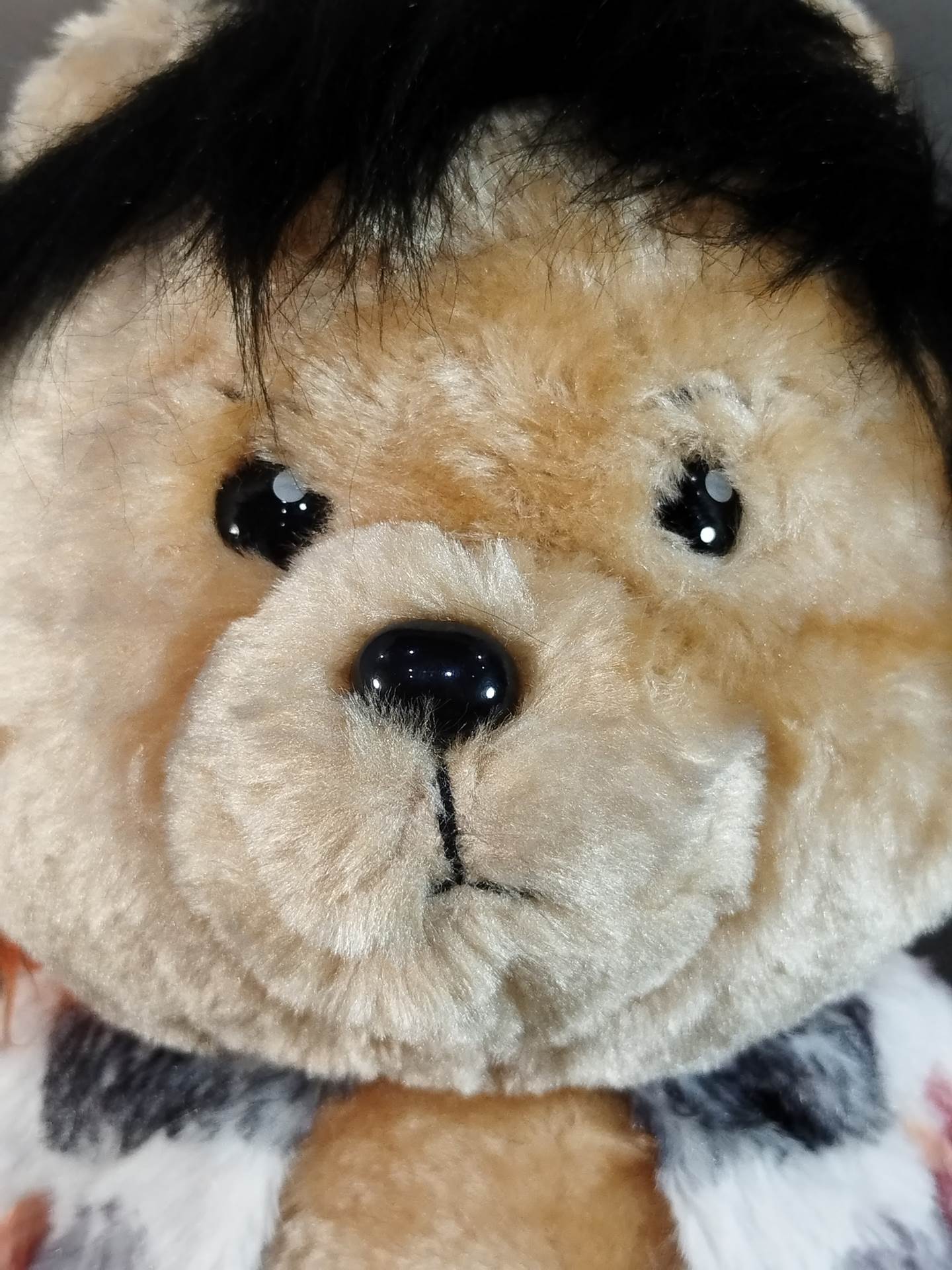 Hiromu Takahashi  "Mane Kuma"