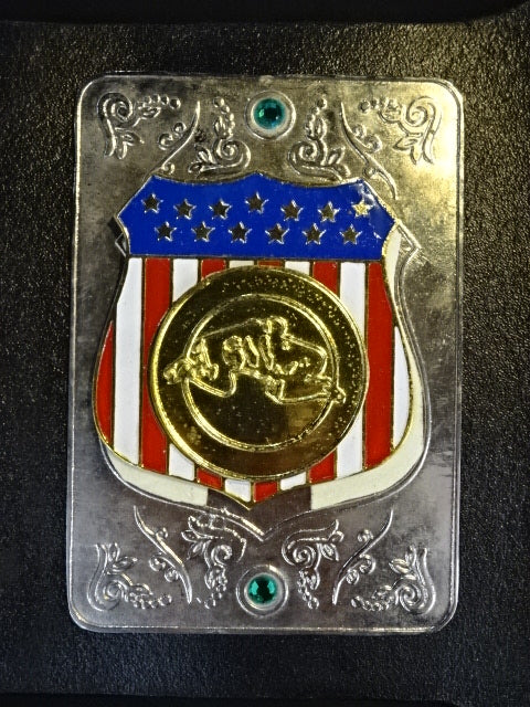 AWA World Heavyweight Championship Belt