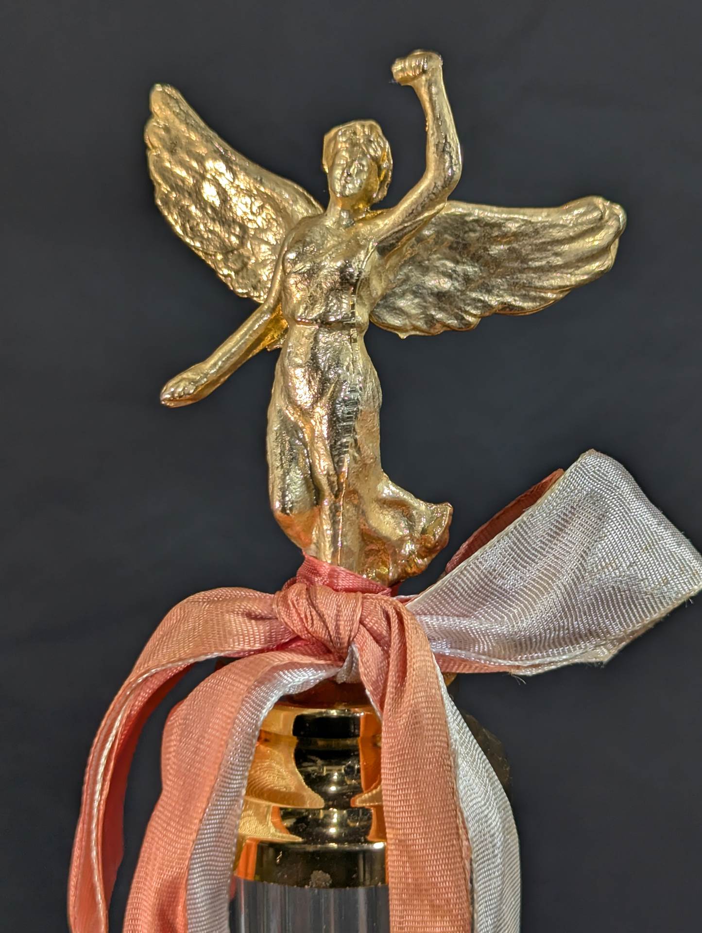 ★アントニオ猪木★ 1988年度週刊ゴングGWYS年間最高試合賞シングル部門のトロフィー