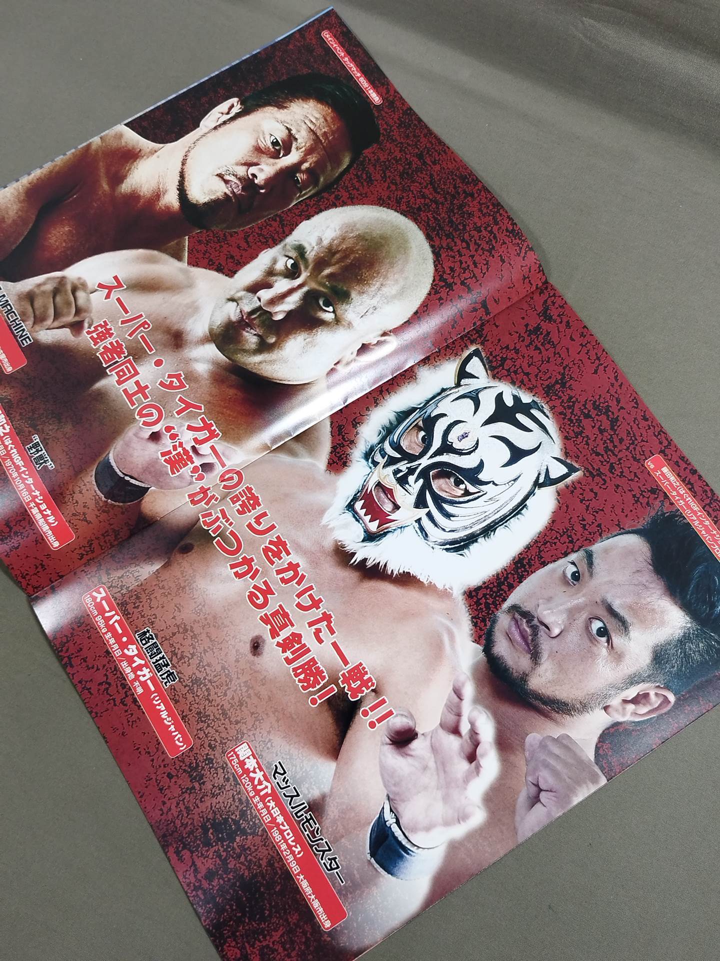 Strong Style Pro Wrestling Vol.5