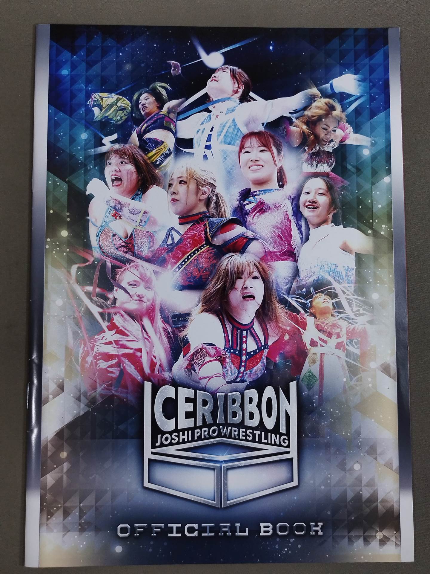 Ice Ribbon / Official Brochure (8/24/2025)