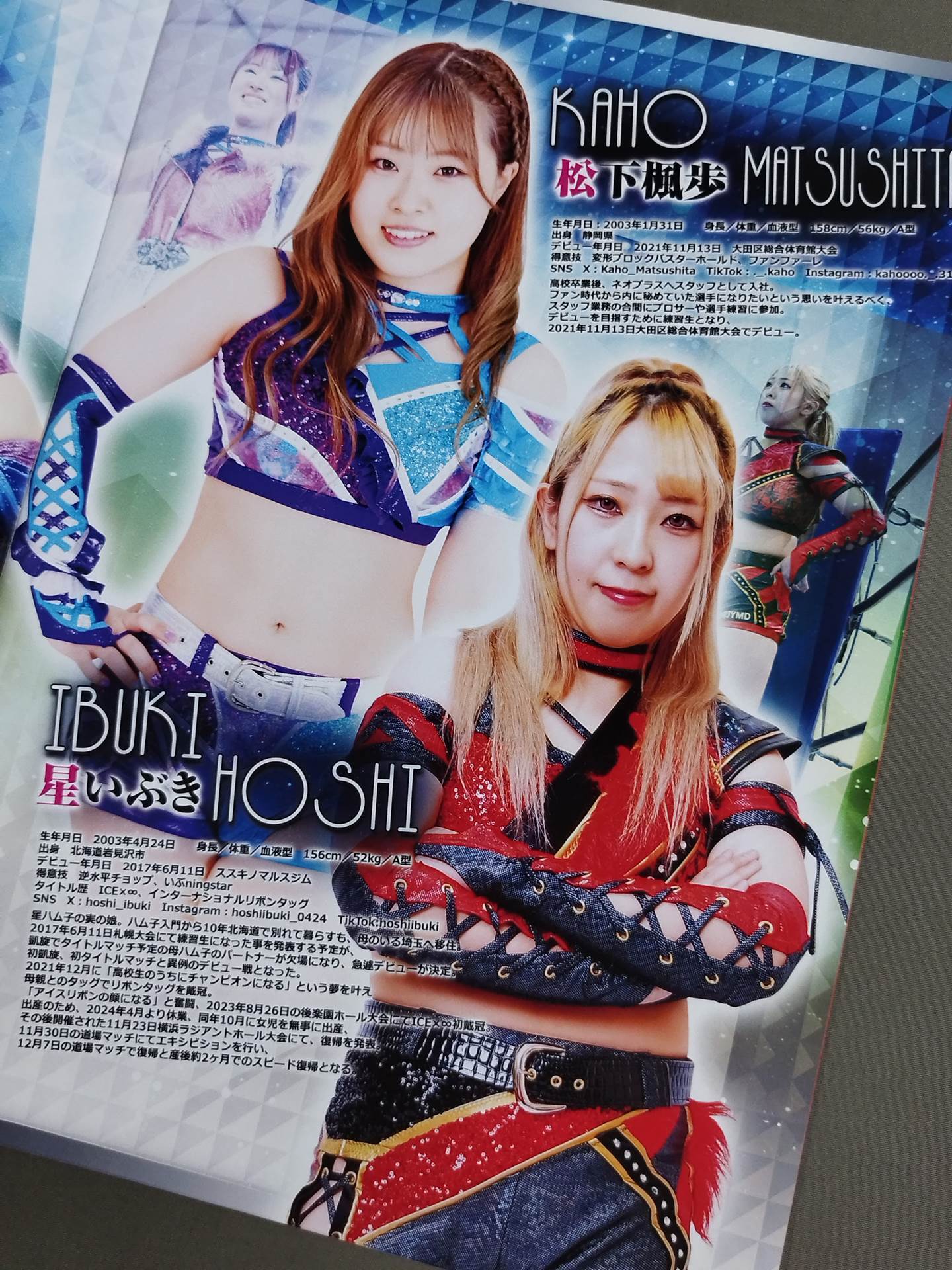 Ice Ribbon / Official Brochure (8/24/2025)