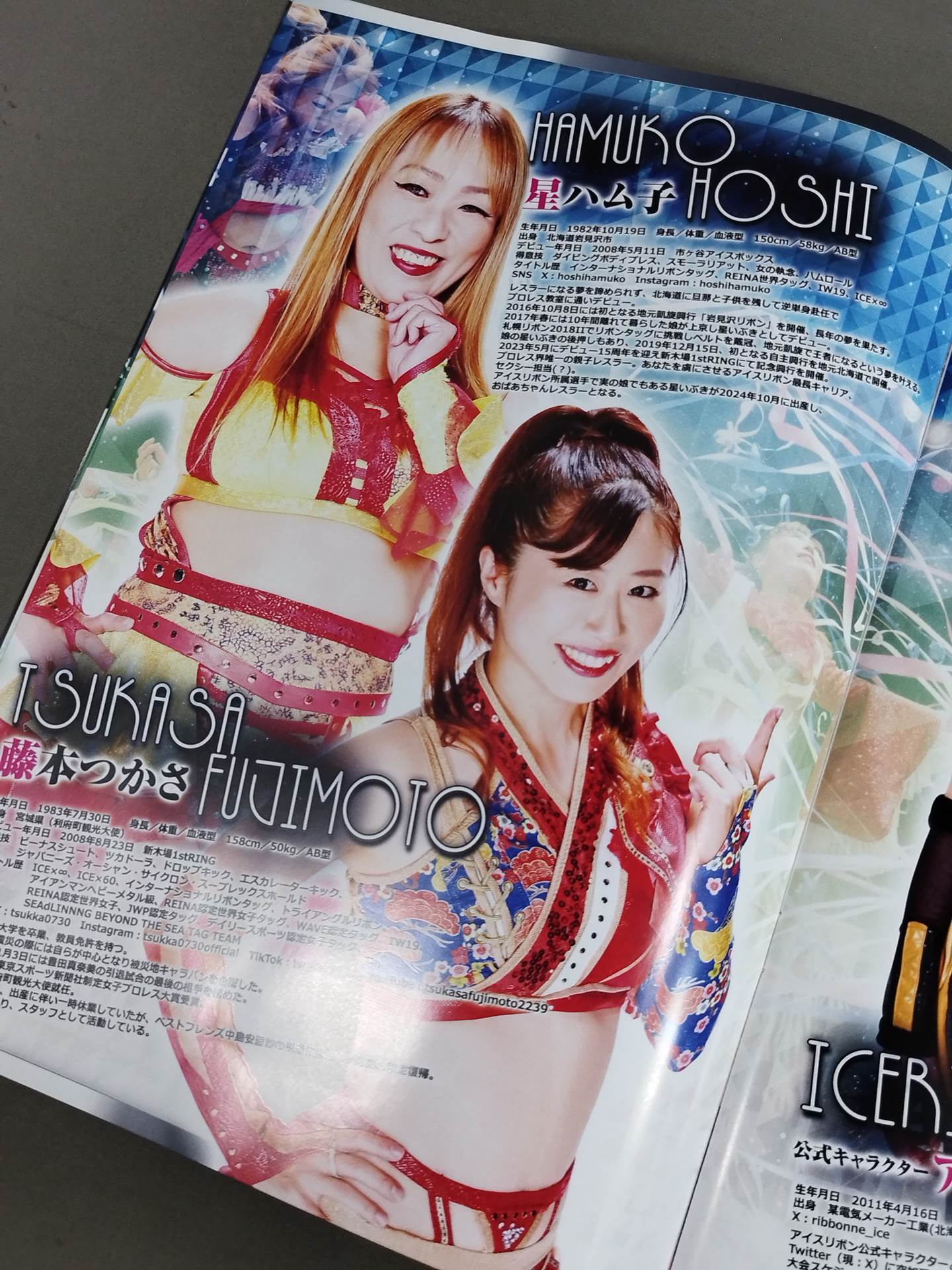 Ice Ribbon / Official Brochure (8/24/2025)