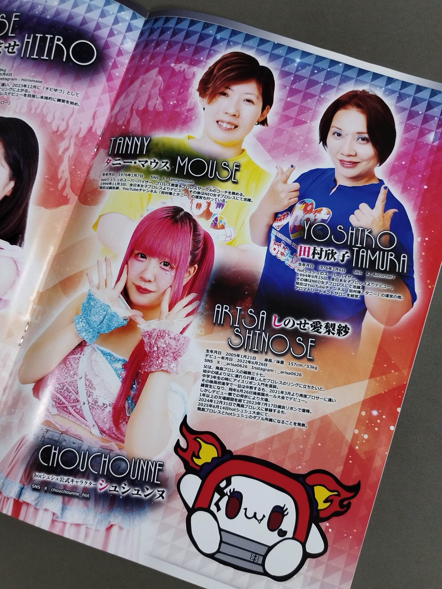 Ice Ribbon / Official Brochure (8/24/2025)