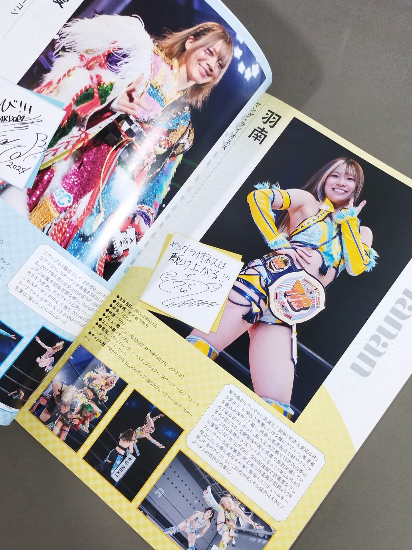 STARDOM OFFICIAL GUIDE BOOK Vol.150
