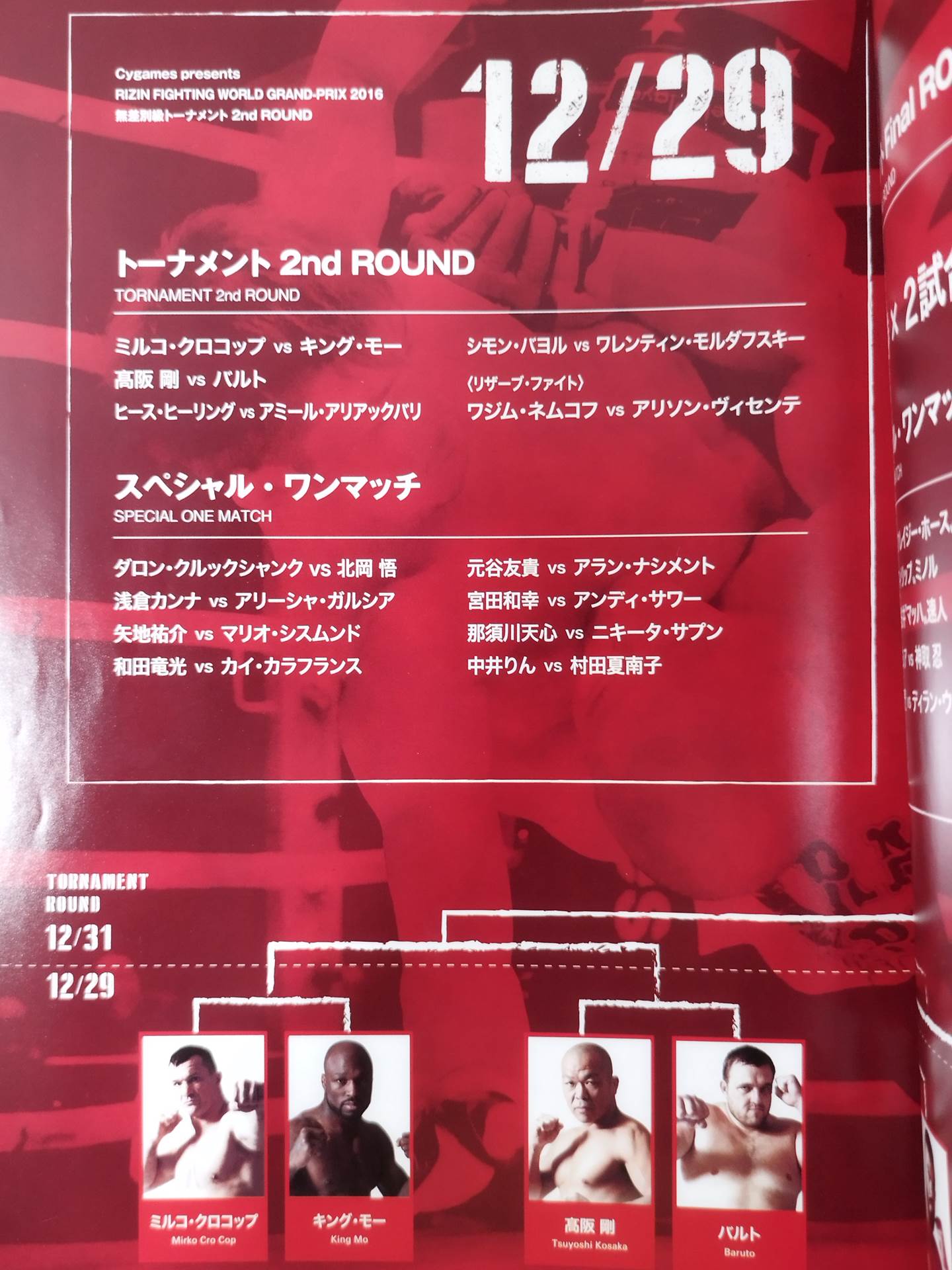 RIZIN FIGHTING WORLD GP 2016 Indiscriminate Tournament 2nd ROUND / FINAL ROUND