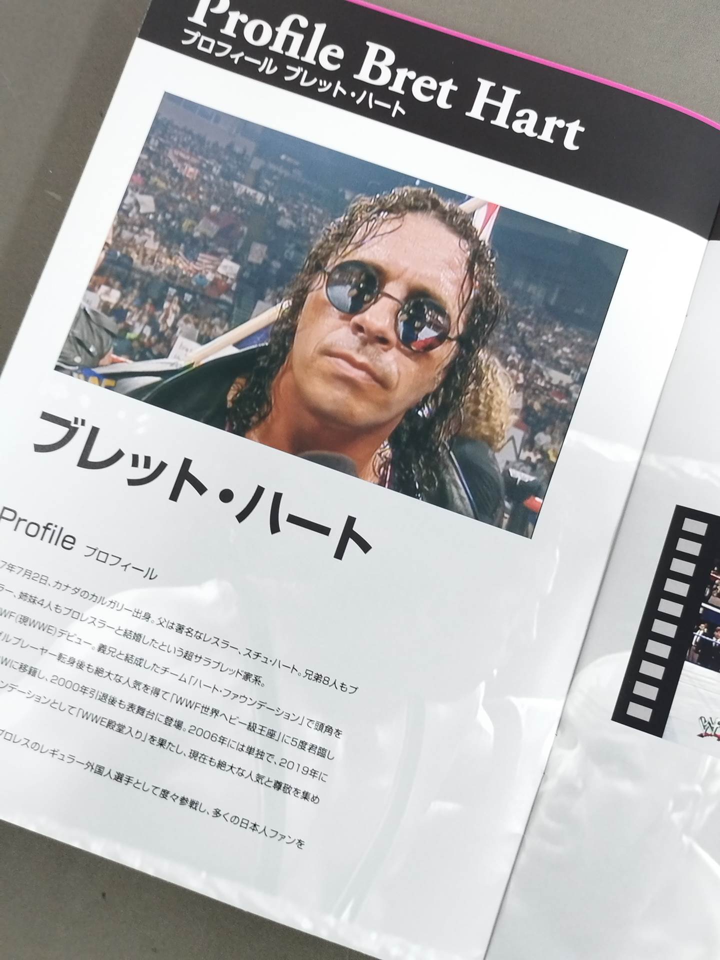 HITMAN HART Wrestling with Shadows
