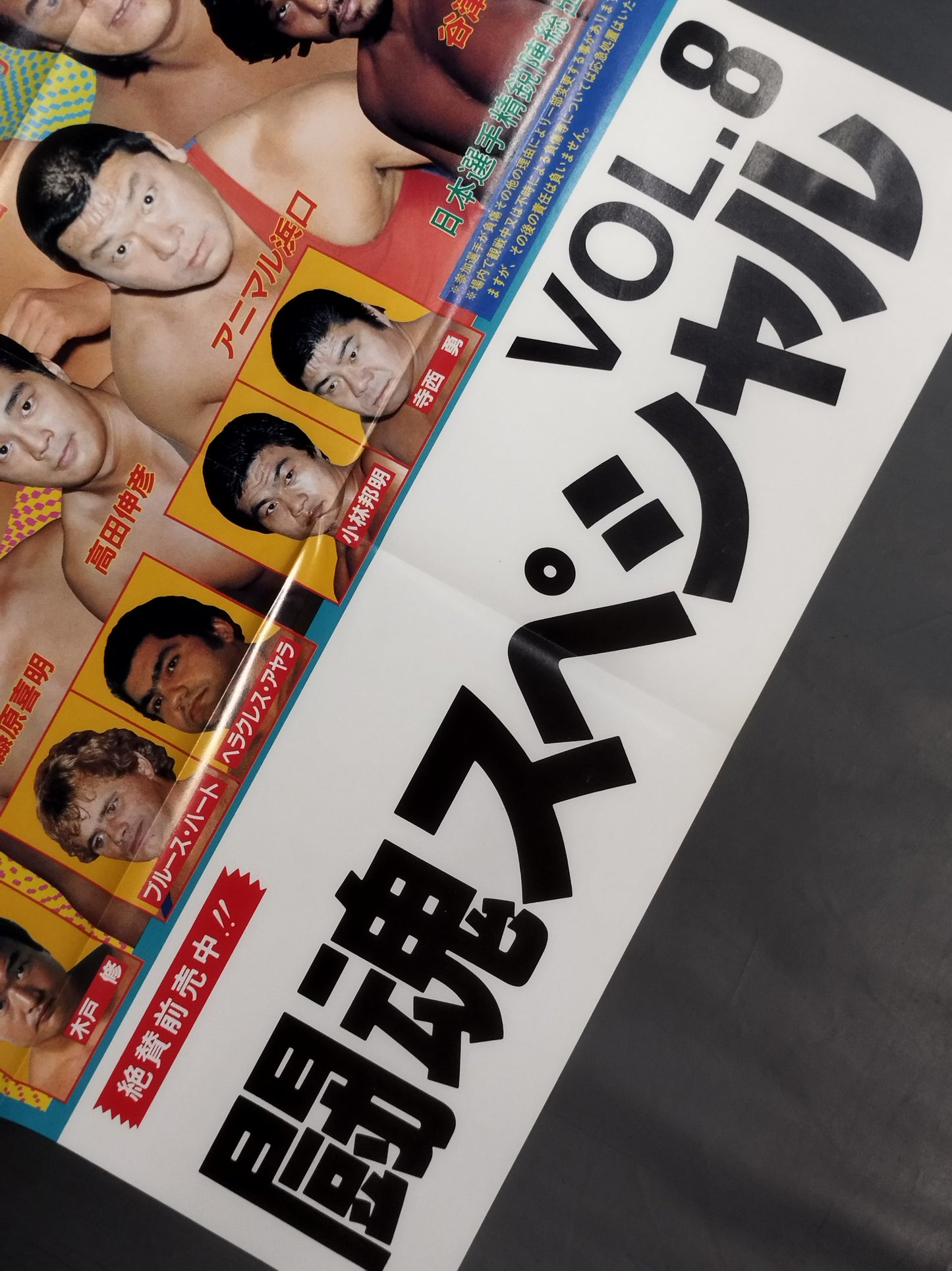 Fighting Spirit Special Vol.8 Appendix Poster