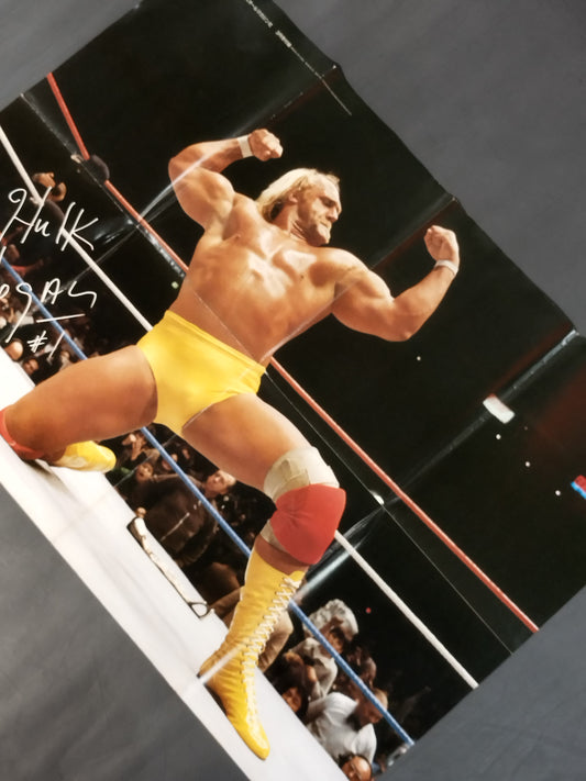 Hulk Hogan  Appendix Poster