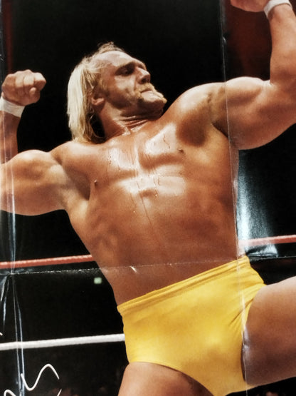Hulk Hogan  Appendix Poster