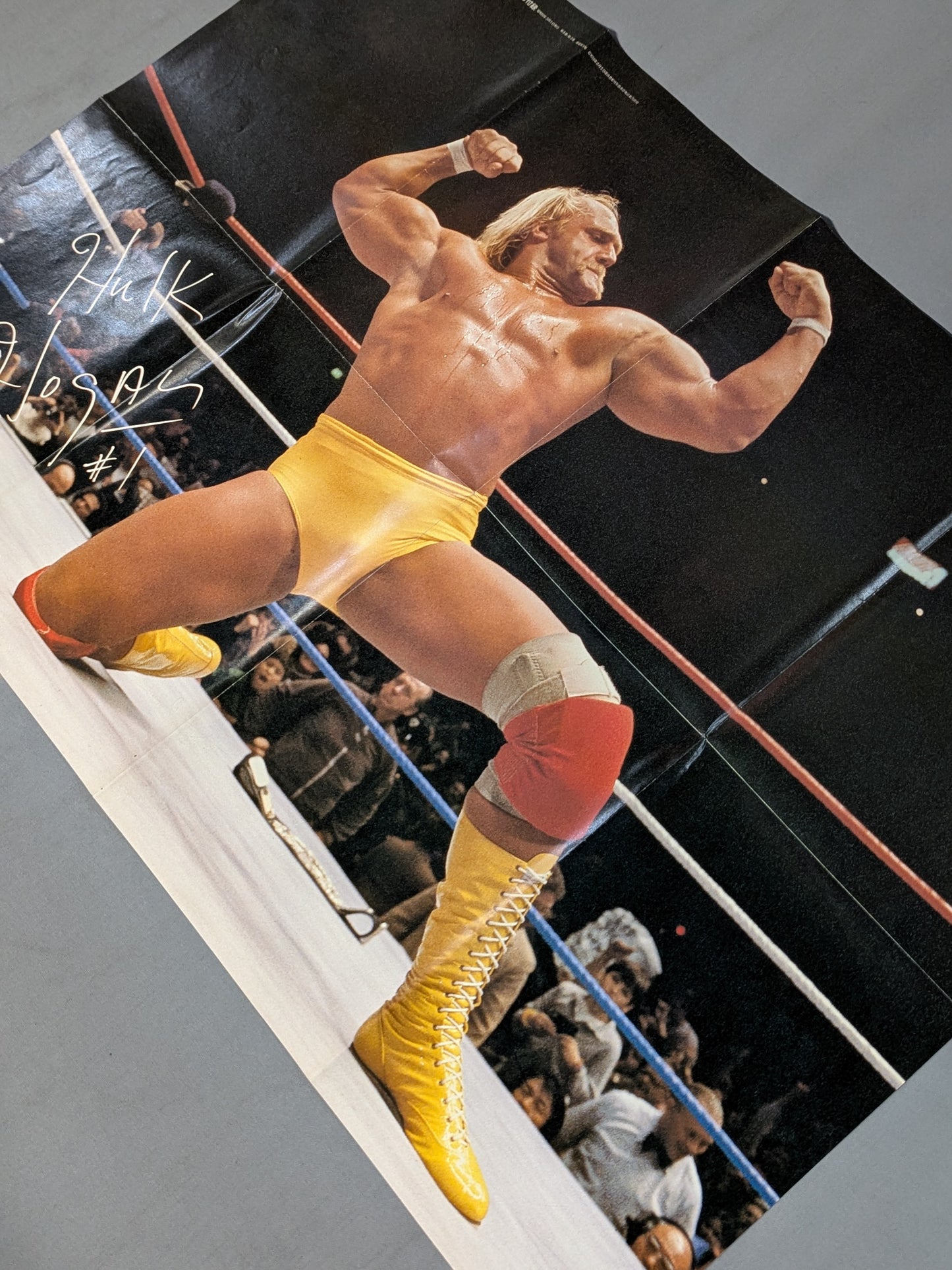 Hulk Hogan Supplement Poster (3)