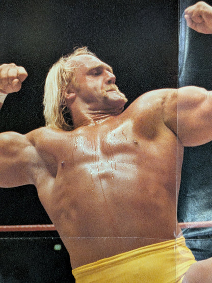 Hulk Hogan Supplement Poster (3)
