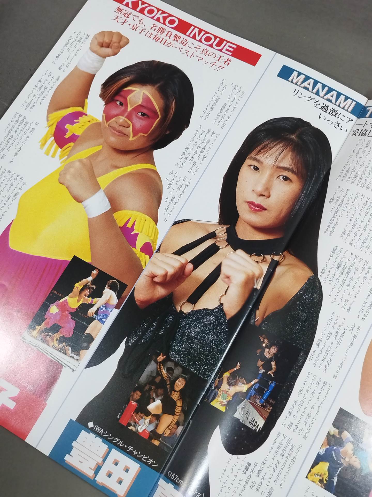 リングスターPROGRAM / 1993 WINTER SPECIAL