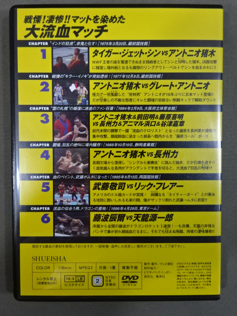 Burn! New Japan Pro Wrestling  vol.24