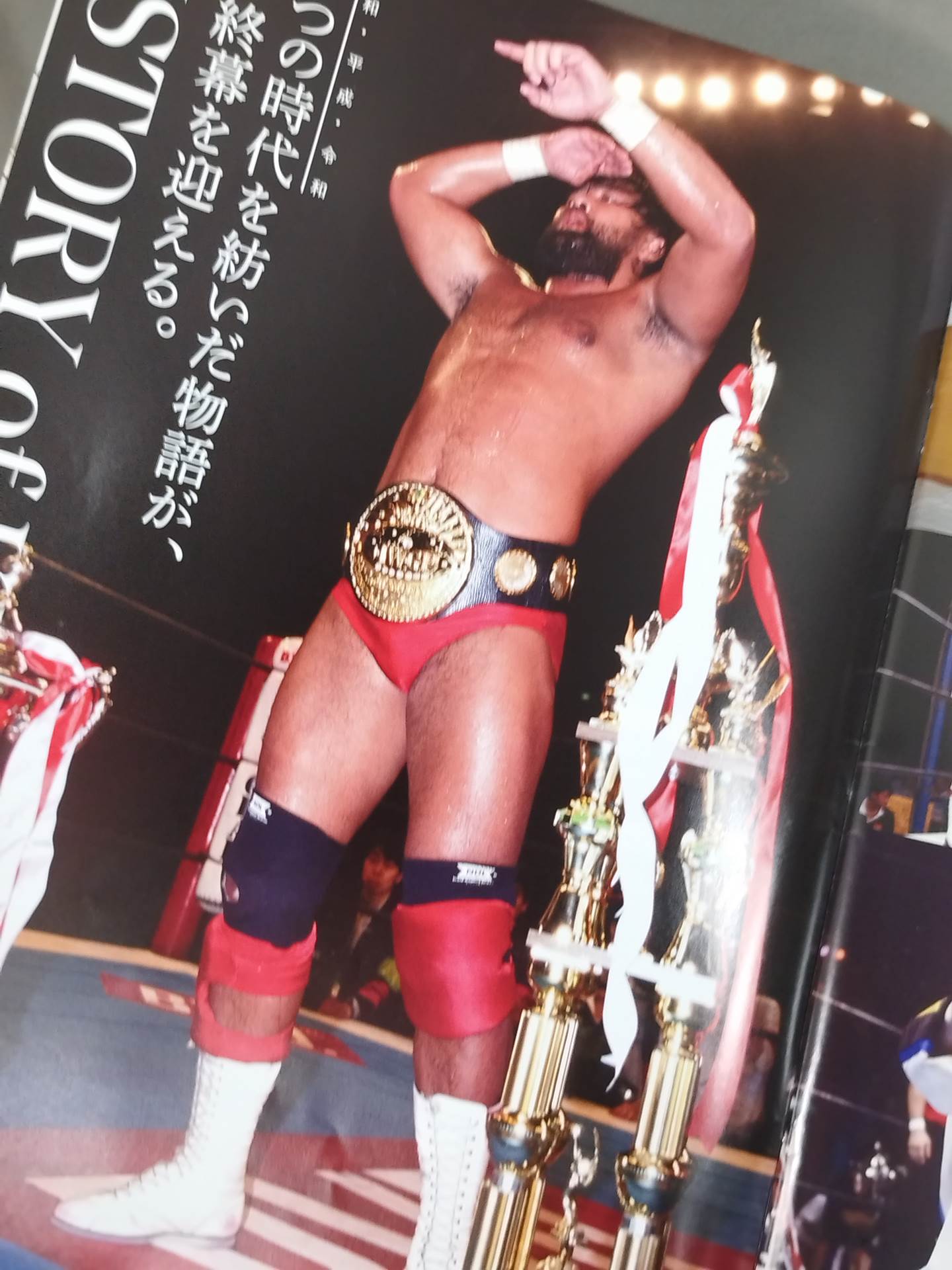 ★武藤敬司 引退試合★ KEIJI MUTO GRAND FINAL PRO-WRESTLING“LAST”LOVE ～HOLD OUT～