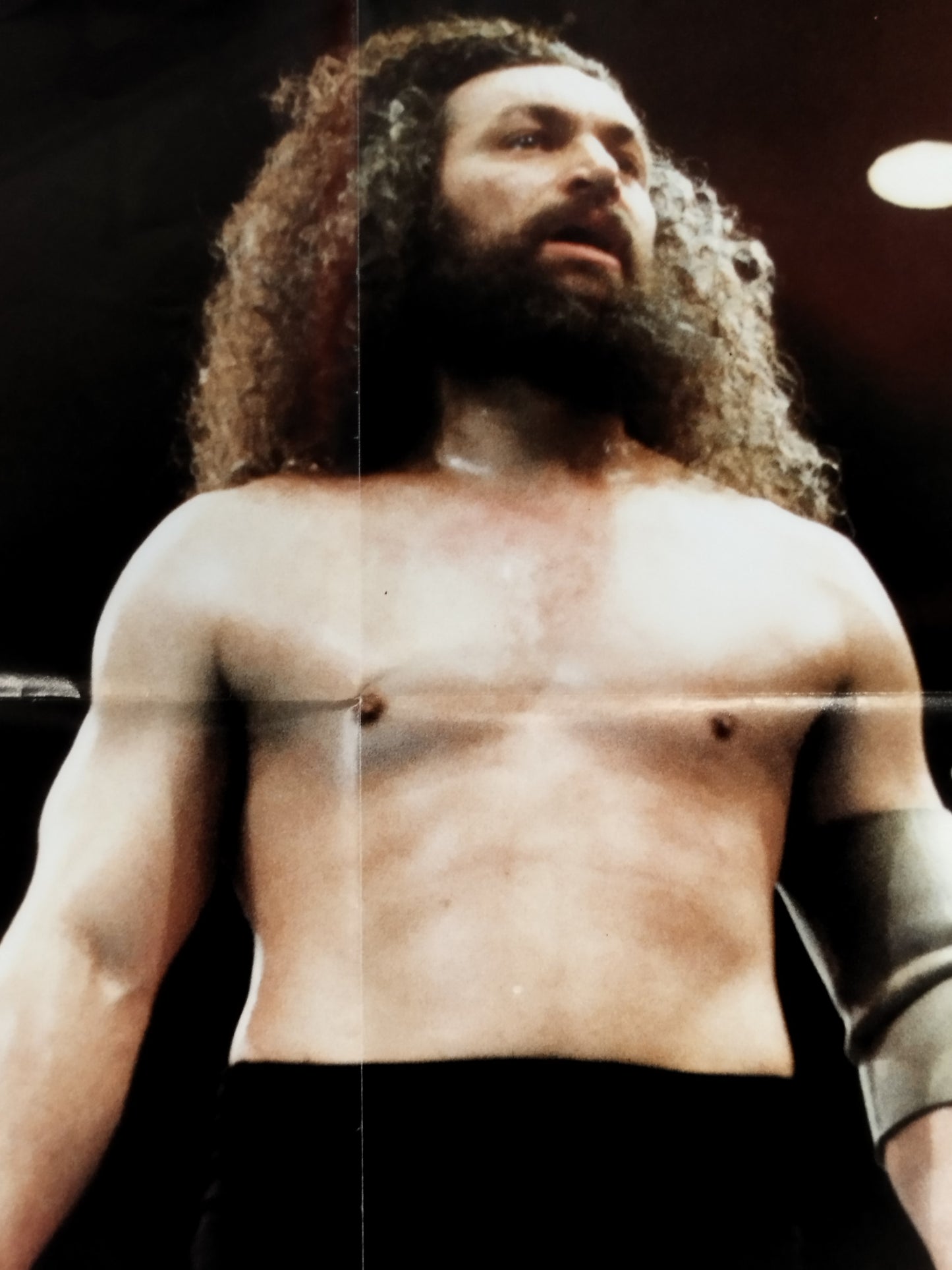 Bruiser Brody  Magazine Appendix Poster
