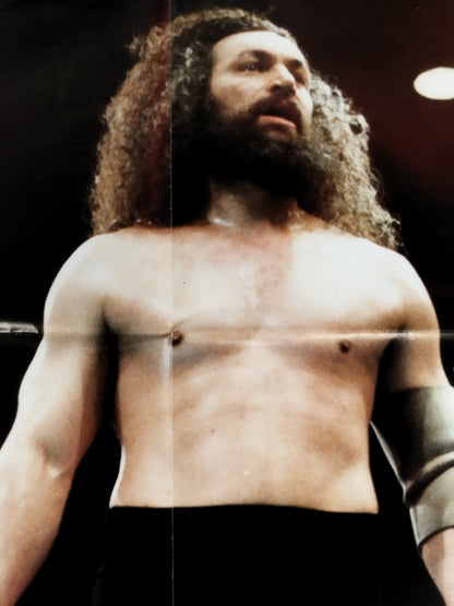 Bruiser Brody  Magazine Appendix Poster