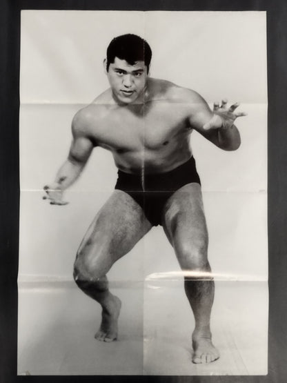 Antonio Inoki  Magazine Appendix Poster