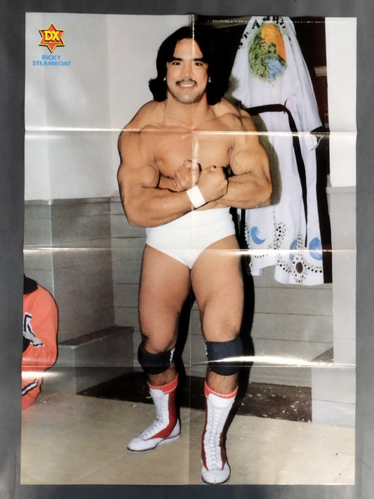 Ricky Steamboat  Magazine Appendix Poster